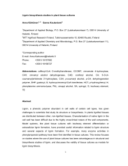 Lignin biosynthesis studies in plant tissue cultures Anna K&auml;rk&ouml;nen1, 2