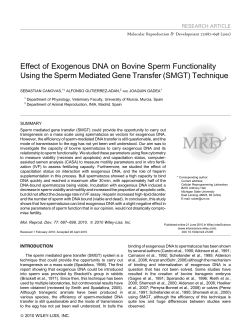 Effect of exogenous DNA on bovine sperm functionality using the
