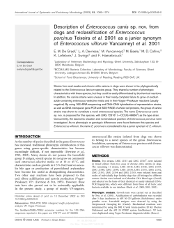 Description of Enterococcus canis sp. nov. from dogs and