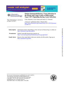 Simian Immunodeficiency Virus Infection in the Brain
