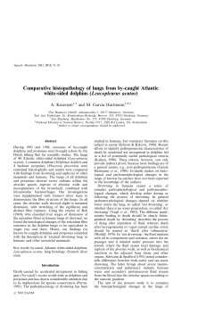 Comparative histopathology of lungs from by