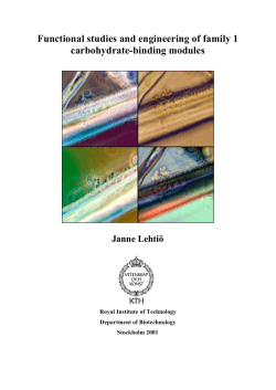 Functional studies and engineering of family 1 carbohydrate