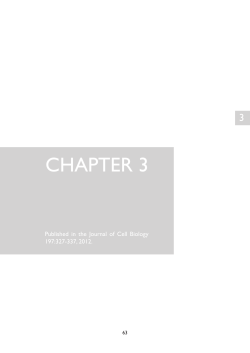 chapter 3 - VU Research Portal