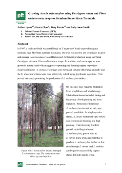 Growing Acacia melanoxylon using Eucalyptus nitens and Pinus