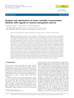 Analysis and optimization of minor actinides transmutation blankets
