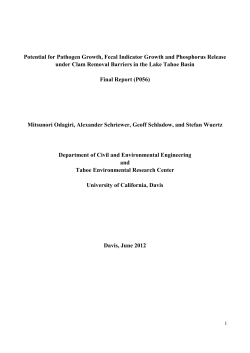 Potential for Pathogen Growth, Fecal Indicator Growth and