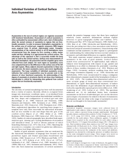 Individual variation of cortical surface area asymmetries.
