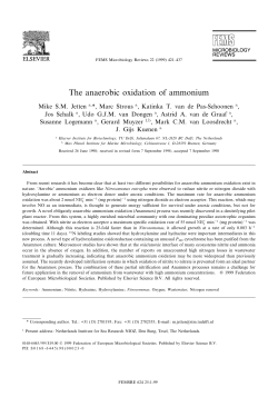 The anaerobic oxidation of ammonium