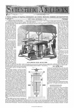 F  7` 2 - Alberto Strumia