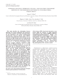 Nitrogen Fixation, Hydrogen Cycling, and Electron Transport