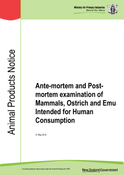 Ante-mortem and Post-mortem examination of Mammals, Ostrich