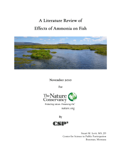 A Literature Review of Effects of Ammonia on Fish