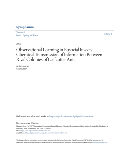 Observational Learning in Eusocial Insects