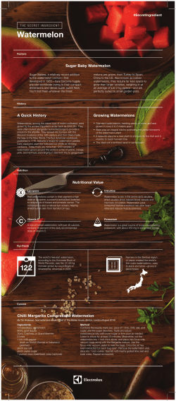 Sugar Baby Watermelon Nutritional Value A Quick History Chilli