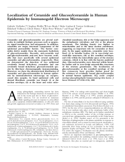 Localization of Ceramide and Glucosylceramide in Human