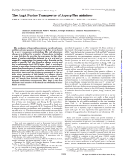 The AzgA Purine Transporter of Aspergillus nidulans