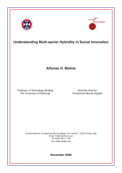 Understanding Multi-sector Hybridity in Social Innovation Alfonso H