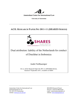 Dual attribution: liability of the Netherlands for conduct of