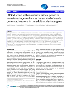 LTP induction within a narrow critical period of immature stages