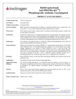 Rabbit (polyclonal) Anti-PDGFR&alpha; [pY ] Phosphospecific Antibody