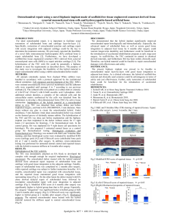 Osteochondral repair using a novel biphasic implant made of