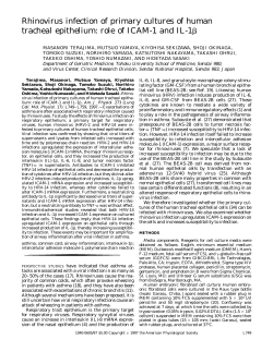 Rhinovirus infection of primary cultures of human tracheal