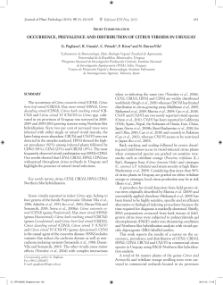 occurrence, prevalence and distribution of citrus viroids in