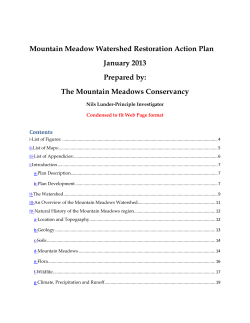 Mountain Meadow Watershed Restoration Action Plan