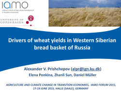 Drivers of wheat yields in Western Siberian bread basket of Russia
