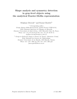 Shape analysis and symmetry detection in gray