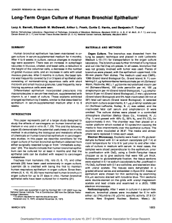 Long-Term Organ Culture of Human Bronchial Epithelium`