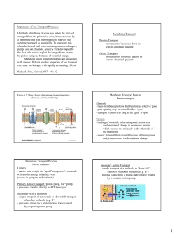 Bio3460-18 MineralNutrition