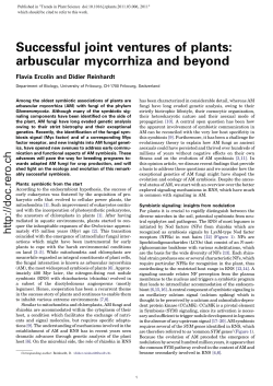 Successful joint ventures of plants: arbuscular