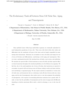 The Evolutionary Trade-off between Stem Cell Niche Size