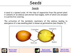 A seed is a ripened ovule. At the time of separation from the parent