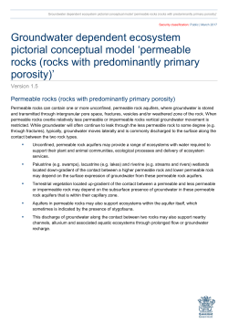 Pictorial conceptual model PDF