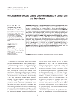 Use of Calretinin, CD56, and CD34 for Differential Diagnosis of