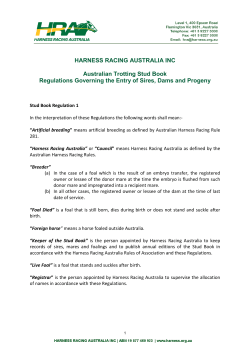 Australian Stud Book Regulations