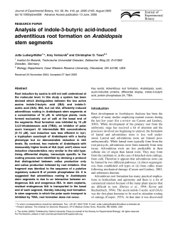 Analysis of indole-3-butyric acid-induced