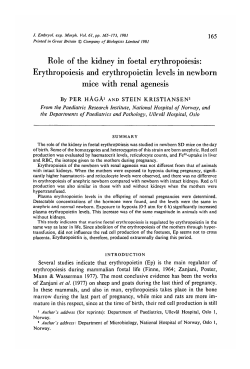 Role of the kidney in foetal erythropoiesis
