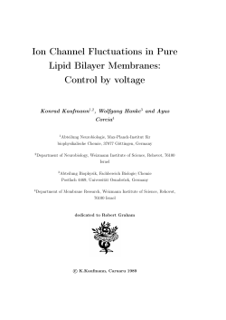Ion Channel Fluctuations in Pure Lipid Bilayer Membranes: Control