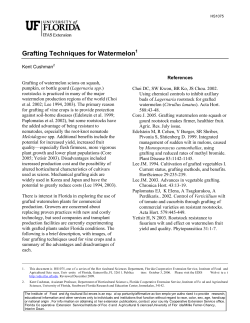 Grafting Techniques for Watermelon