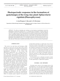 Photoperiodic response in the formation of gametangia of the long