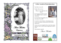 our menu brochure