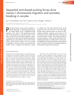Sequential actin-based pushing forces drive meiosis I chromosome