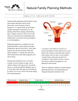 Natural Family Planning Methods