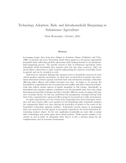 Technology Adoption, Risk, and Intrahousehold Bargaining in