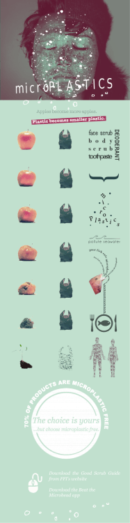 Infographic 2