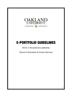 e-portfolio guidelines