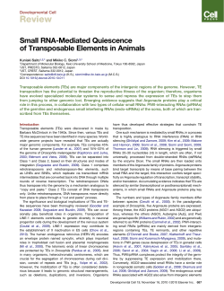 Small RNA-Mediated Quiescence of Transposable